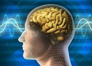 /pliki/zdjecia/mo2 (1).jpg